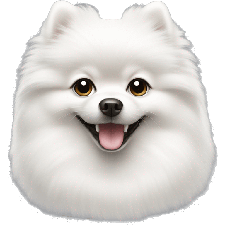 Most pure White pomeranian with smile with black eye emoji