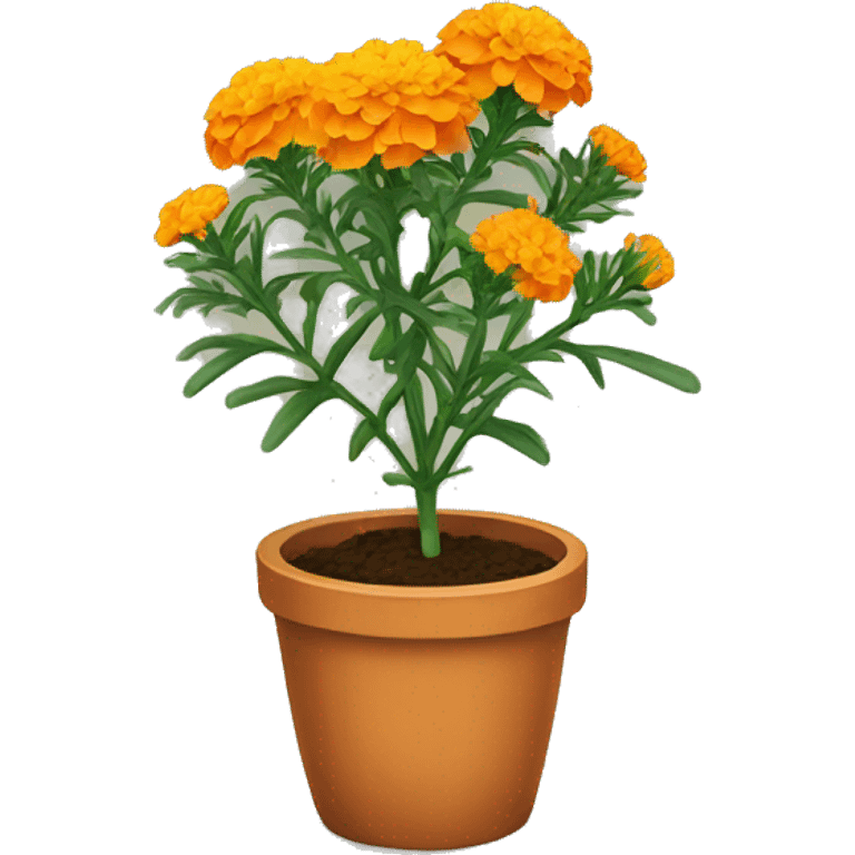 Marigold plant  emoji