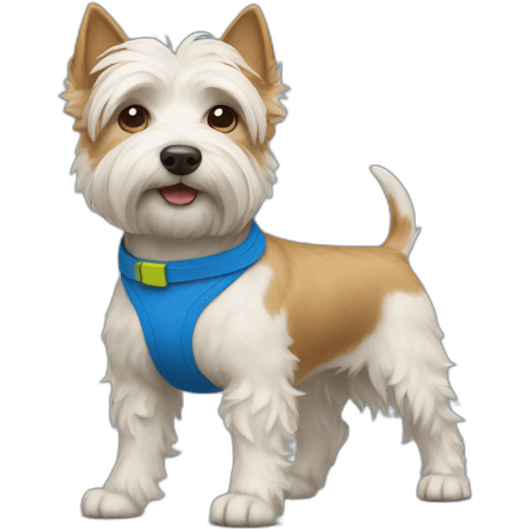 norwitch terrier dog in blue shorts emoji