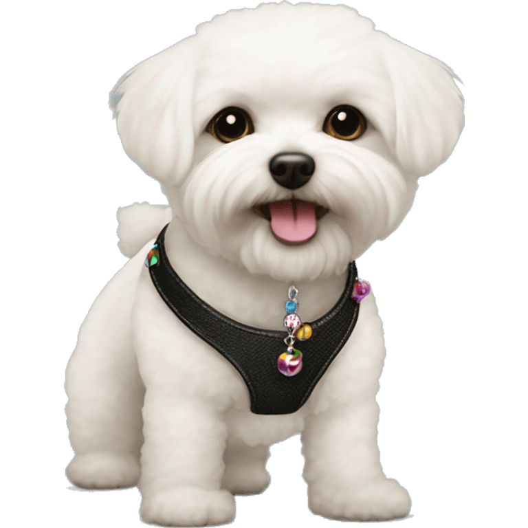 One Small furry Black bichon with one  colorful bead necklaces with brown harness emoji