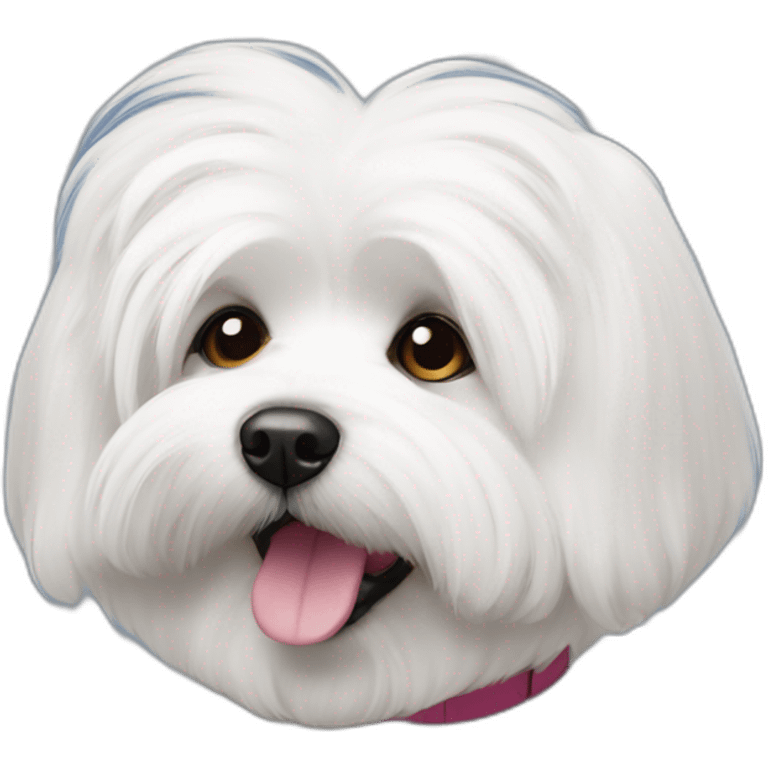 perrita coton de tulear emoji