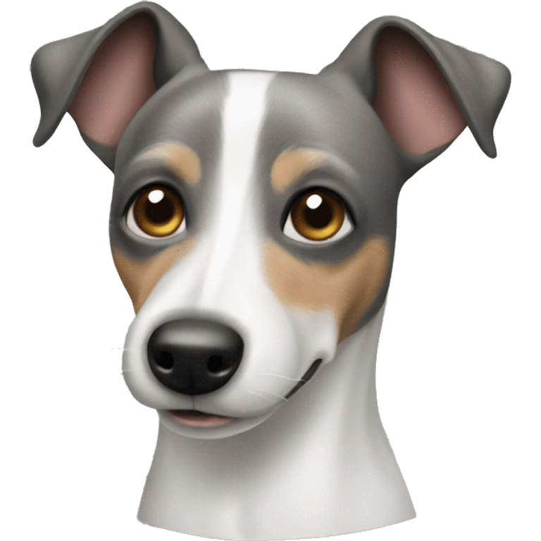 Grey jack russel emoji