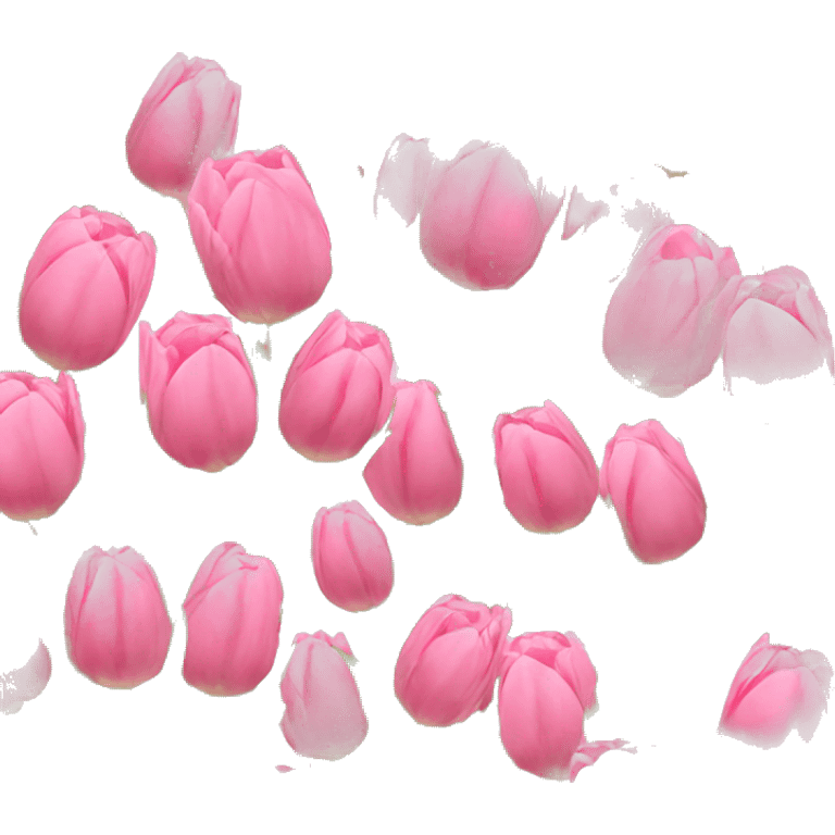 Bouquet of pink tulips emoji