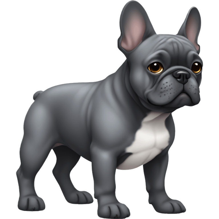 Dark grey French bulldog  emoji