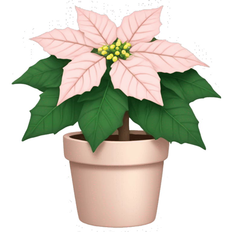 Pale blush pink poinsettia plant  emoji