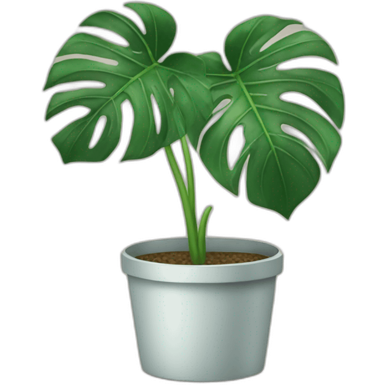 Monstera plant emoji