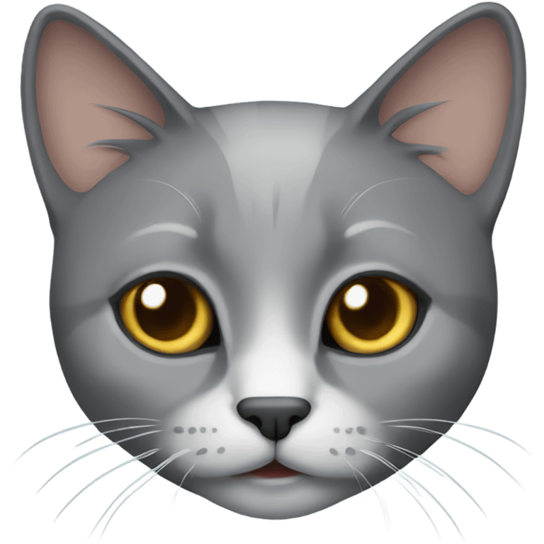 Gray cat emoji