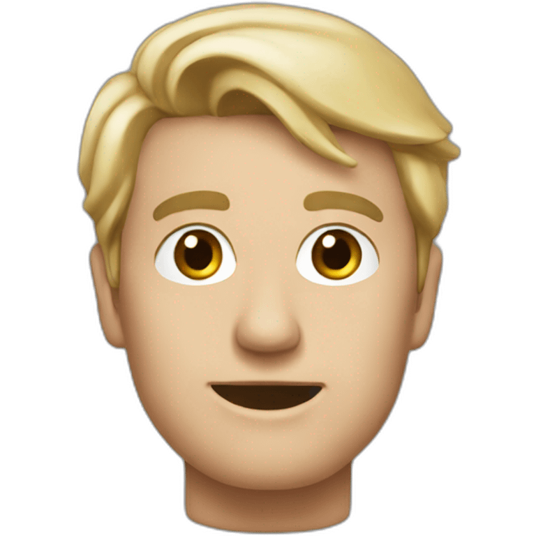 pieter omtzigt emoji