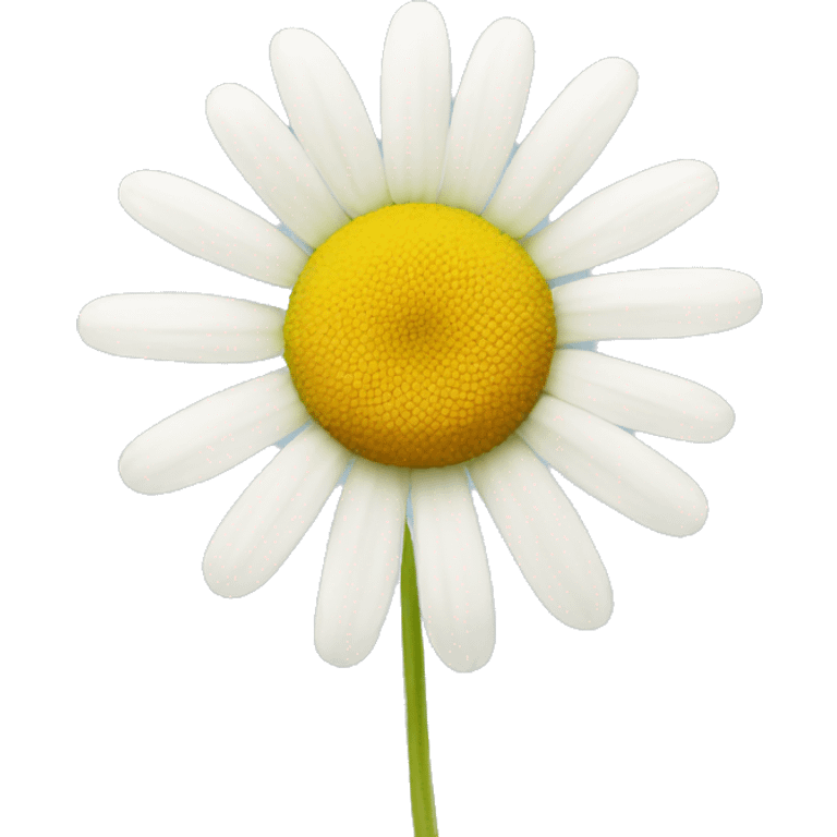 CHAMOMILE emoji