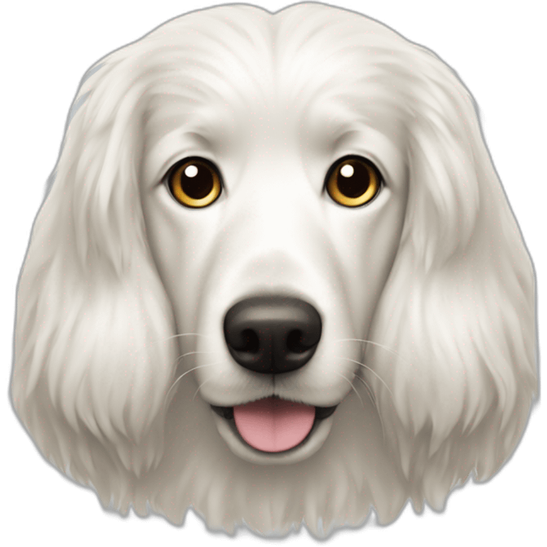 Long-haired white dog with shorter ears emoji