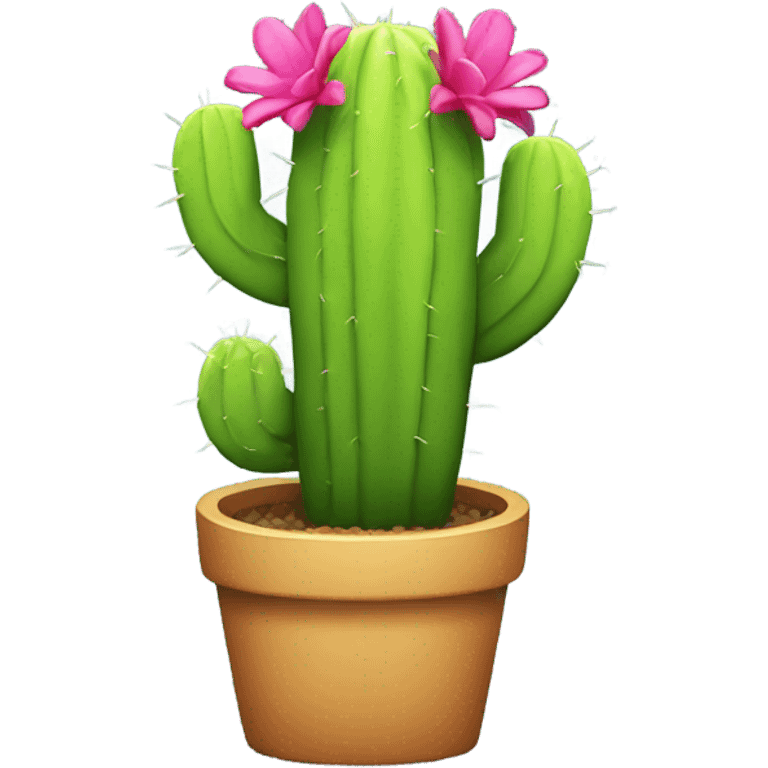 Rainbow cactus emoji