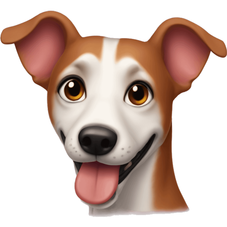 perro salchicha coquette emoji