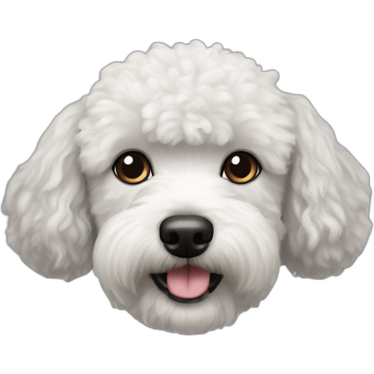 Black dog Poodle and Bichon Frise mix emoji