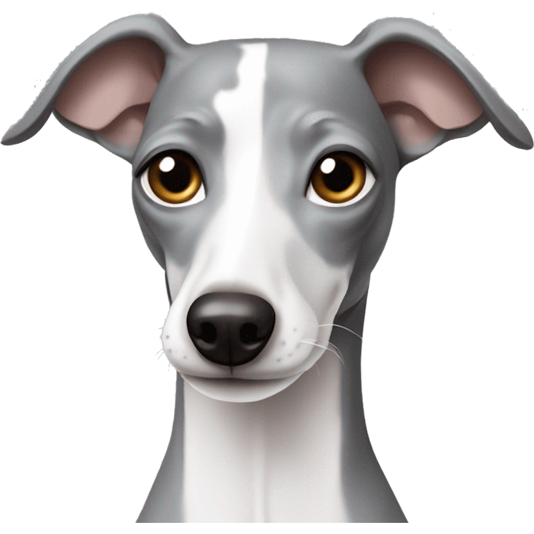 grey and white italian greyhound emoji