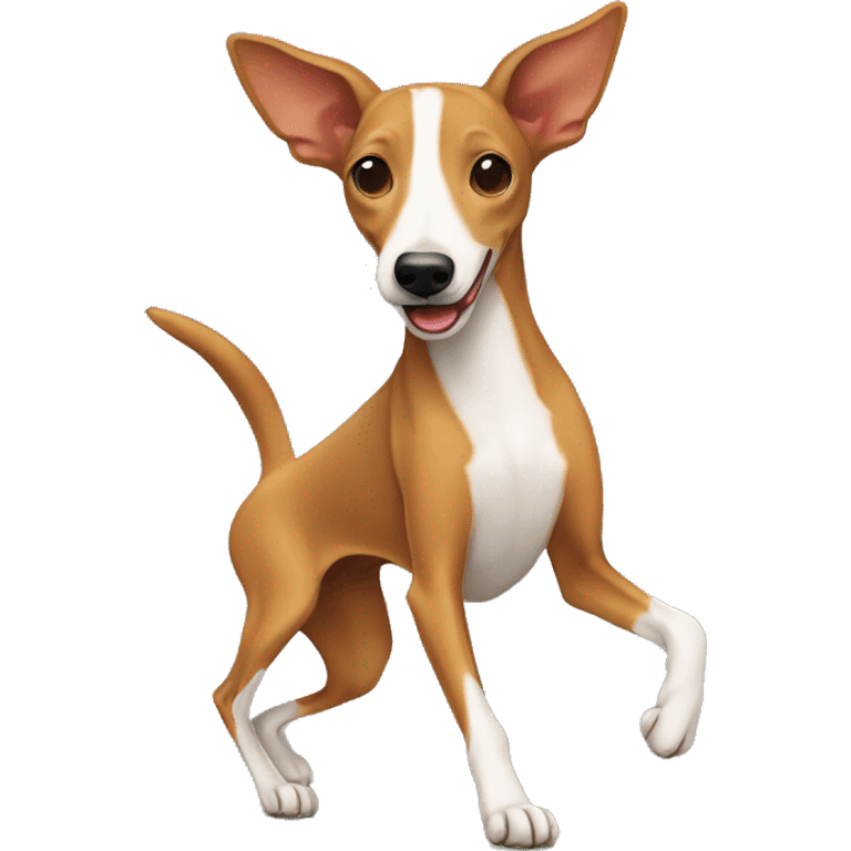 Podenco dog dancing  emoji