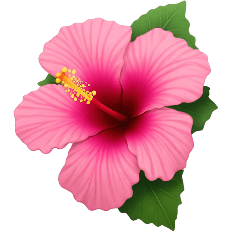 Hibiscus flower that’s pink emoji