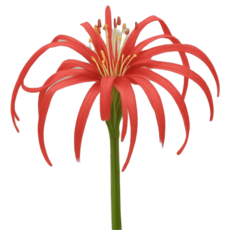 Red spider lily emoji