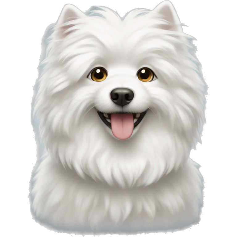 White fluffy Dog  emoji