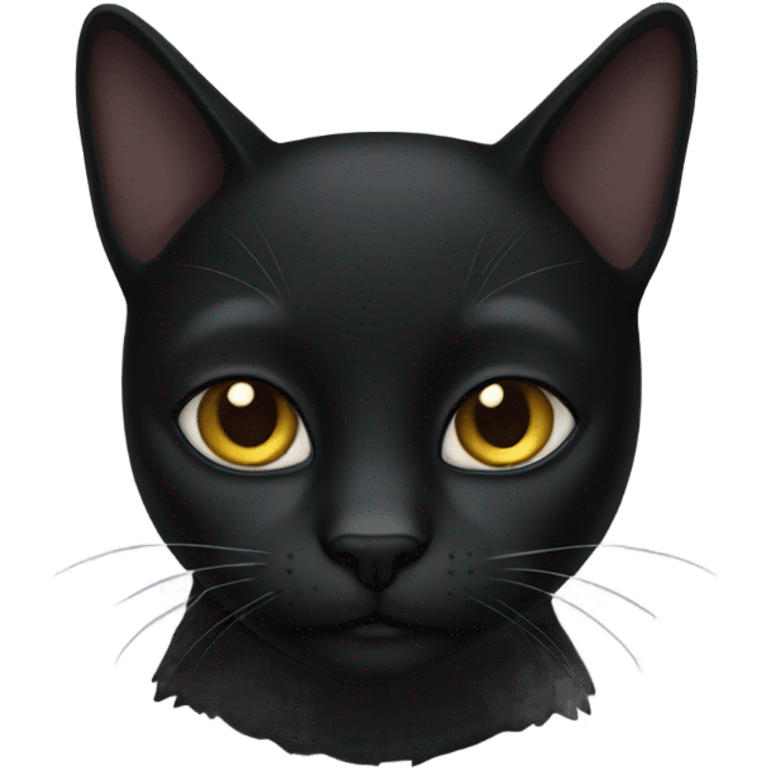 black cat emoji