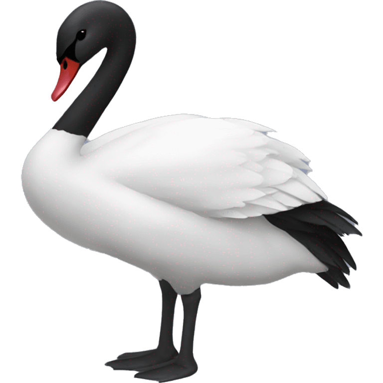 Black swan emoji