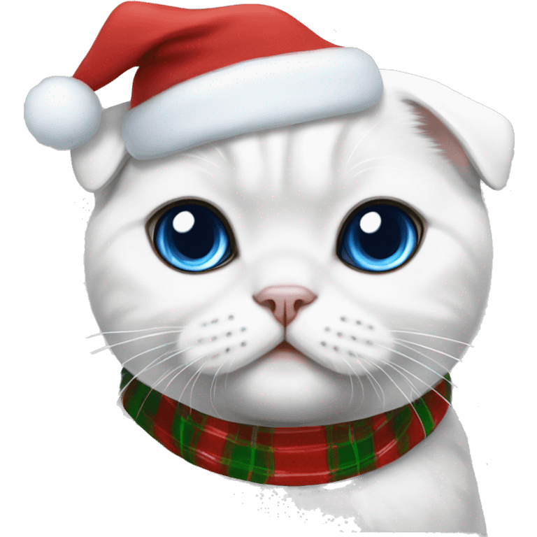 White Scottish fold with blue eyes in Christmas clothes emoji