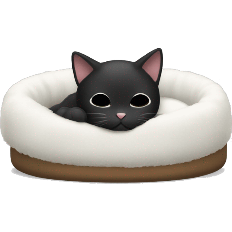 black and white cat sleeping on cat bed emoji emoji