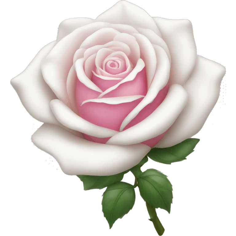 White rose with pink bow emoji