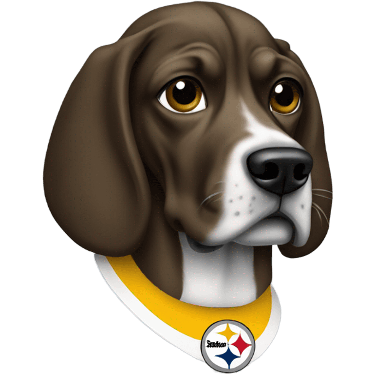 Snoop dog with Steeler helmet emoji