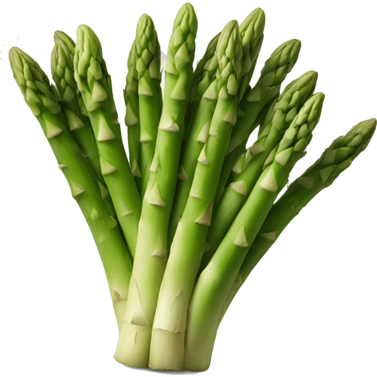 Asparagus  emoji