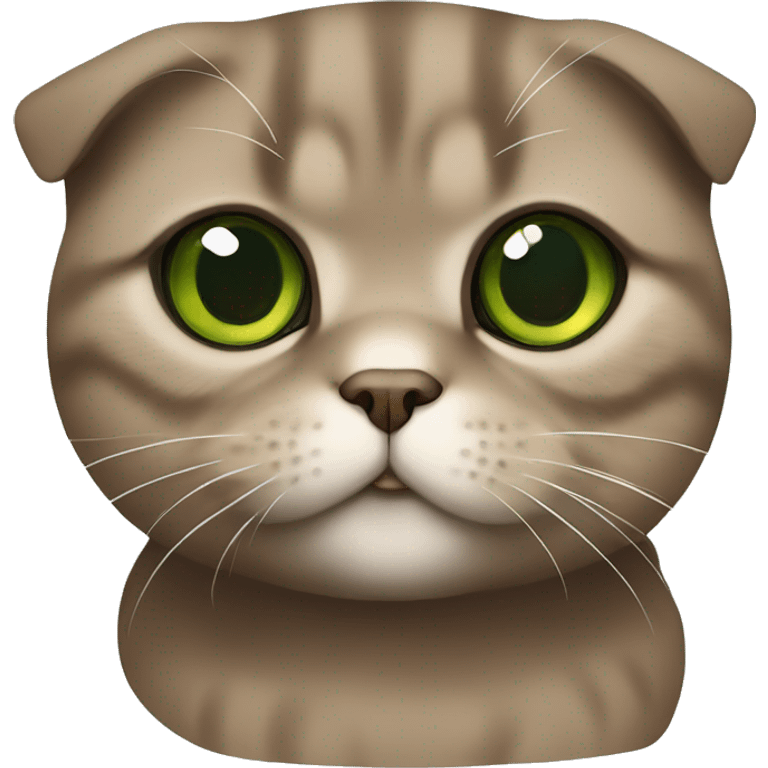 Brown scottish fold with green eyes  emoji