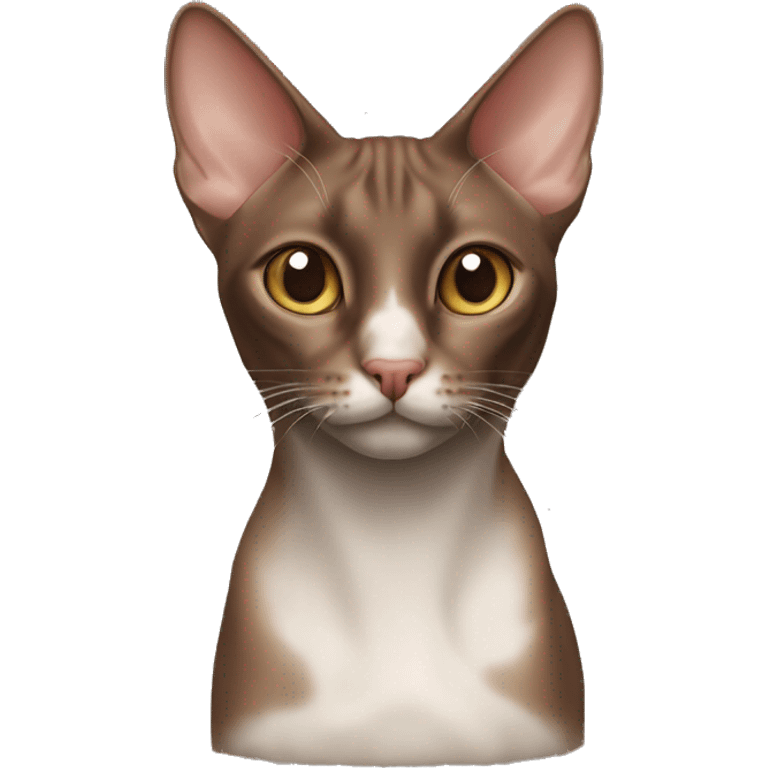 chocolate-like oriental cat white nose  emoji