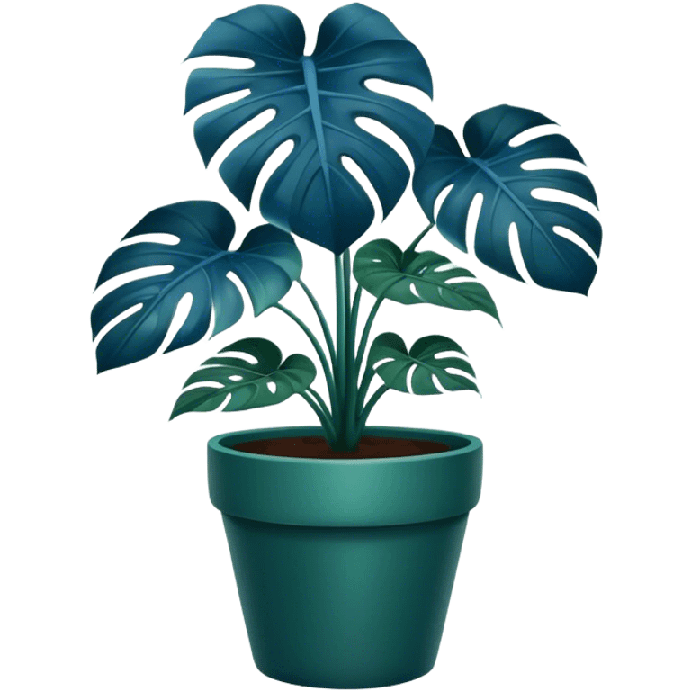 Blue Monstera flower in a deep green -colored pot  emoji