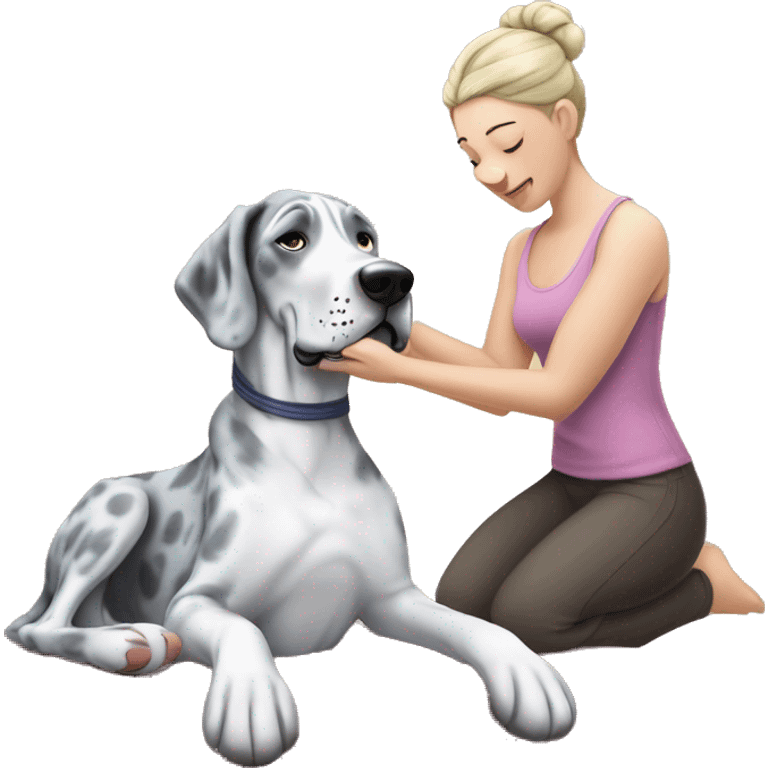 Blue Merle Great Dane getting a massage  emoji