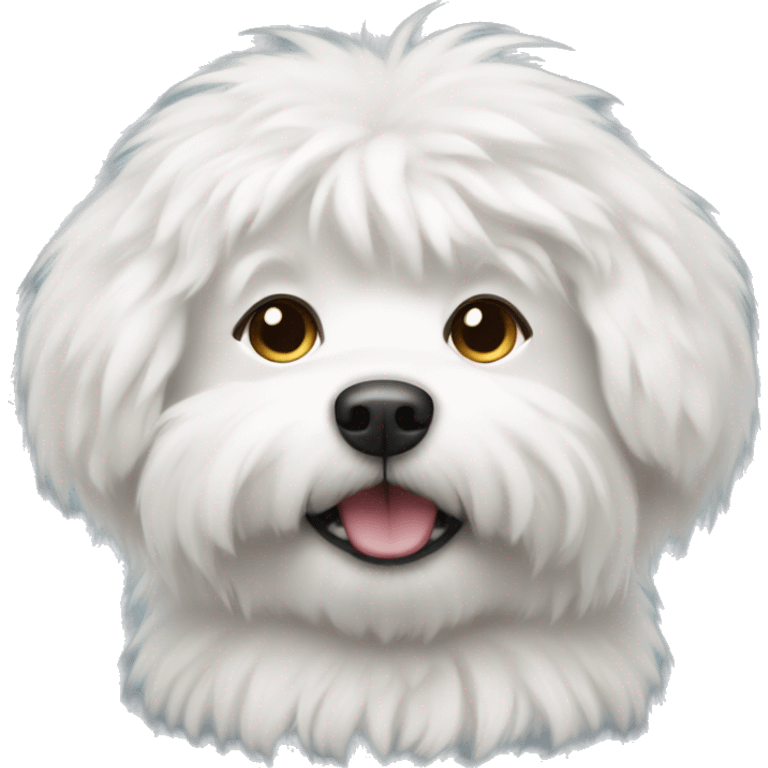 Fluffy white dog  emoji