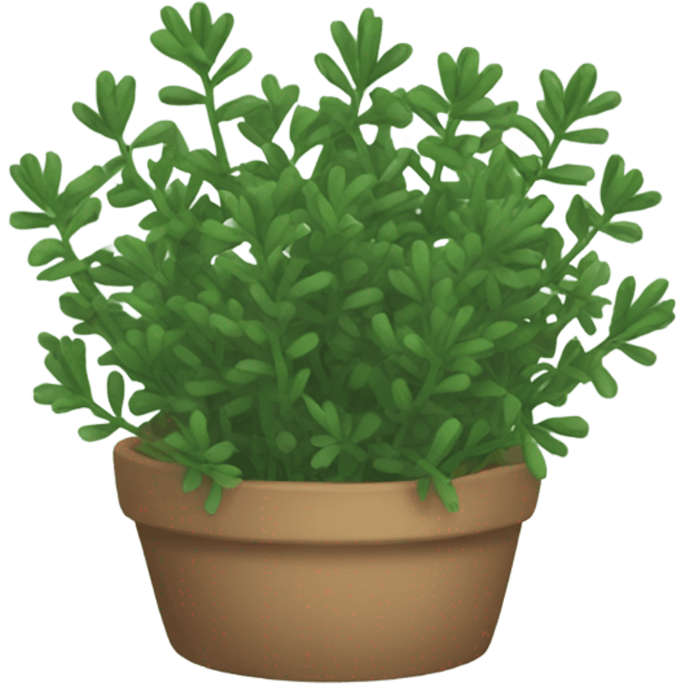 thyme emoji