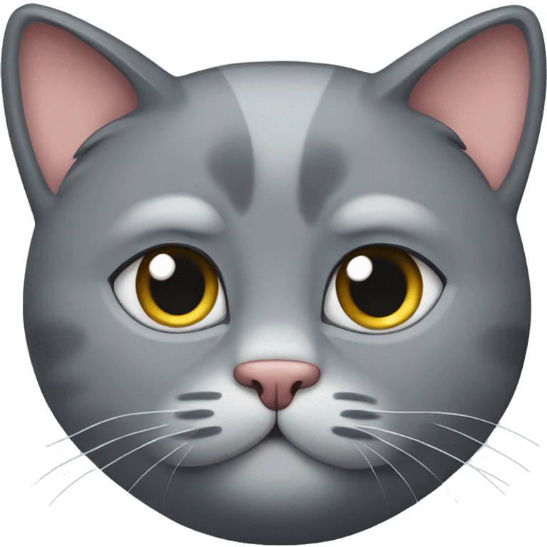 a big fat gray cat with a speck emoji