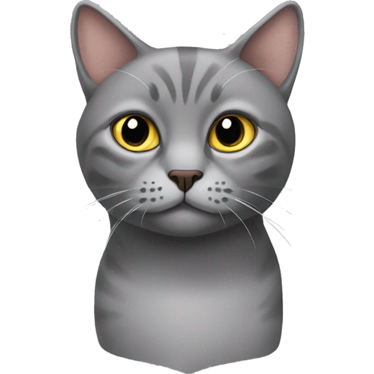 Scottish downturned ears grey cat  emoji