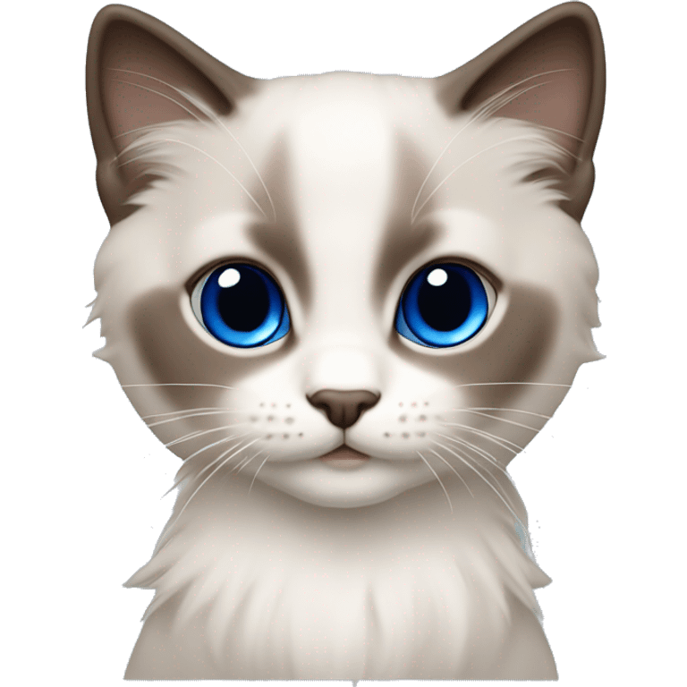 Ragdoll kitten with brown nose and face royal blue eyes emoji