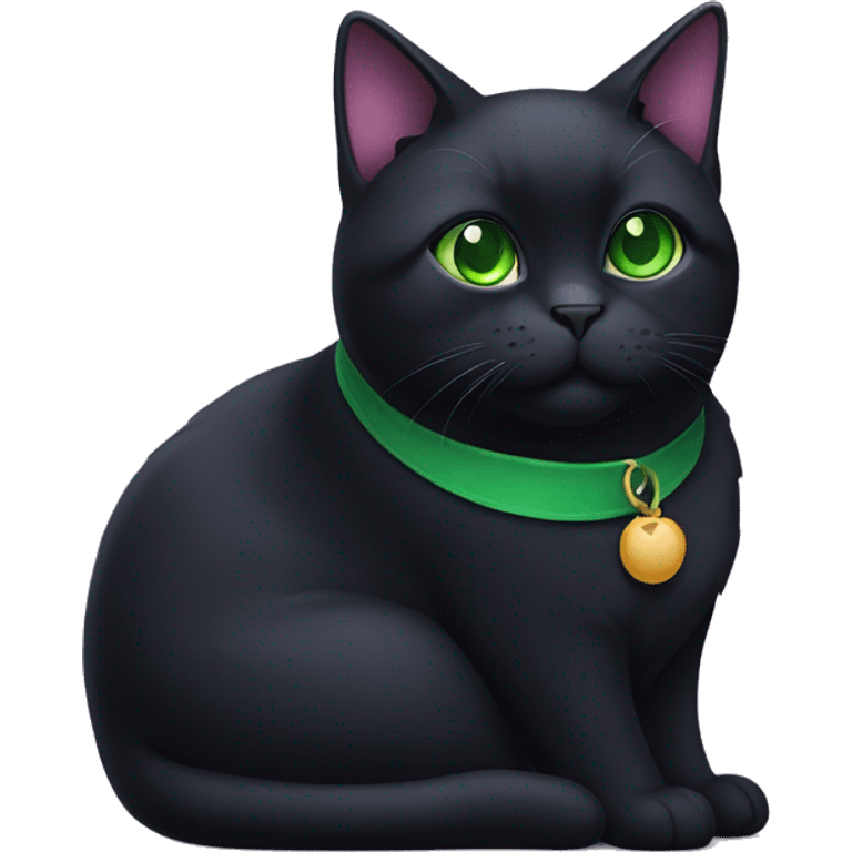 fat black cat with green eyes and purple collar emoji