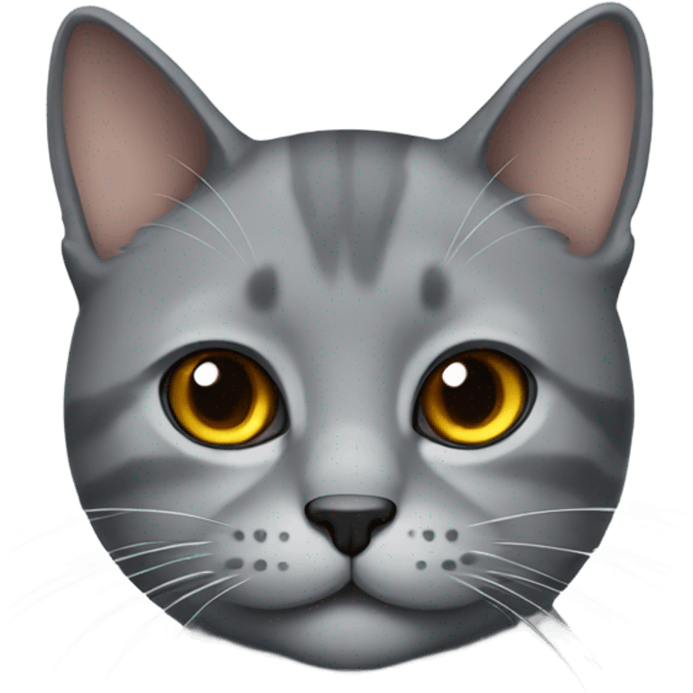 gray scotland cat emoji