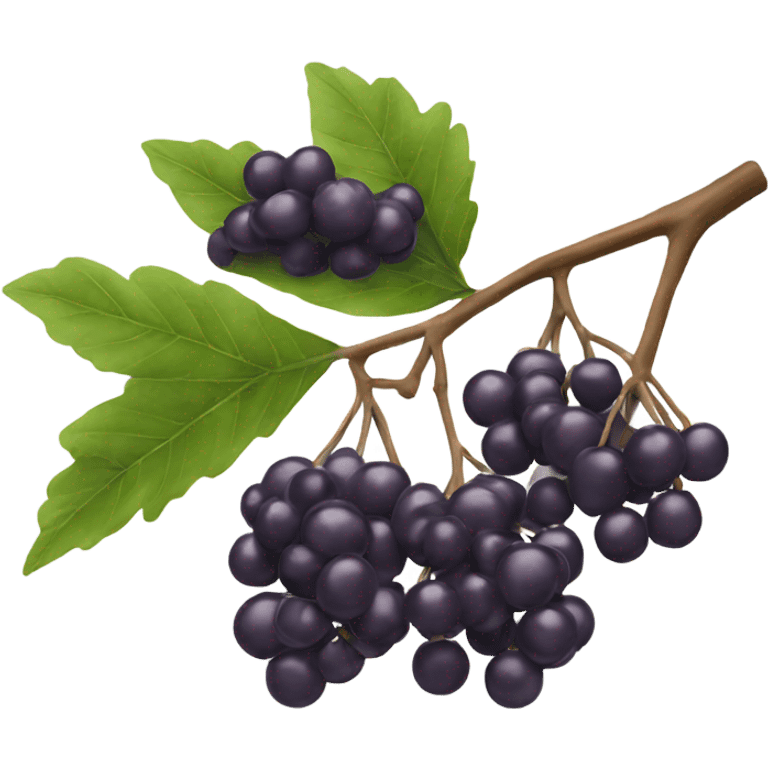 elderberry on a branch emoji