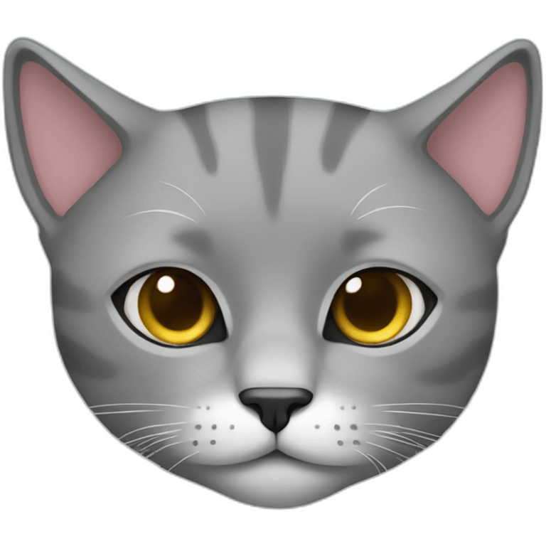 exotic grey cat sleeping emoji