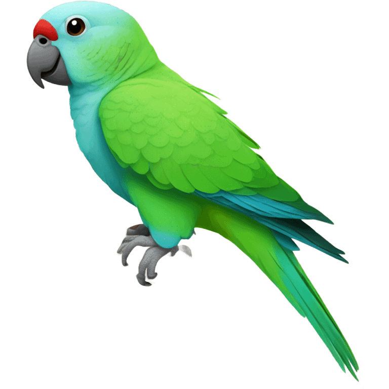 Indian Ringneck parakeet emoji