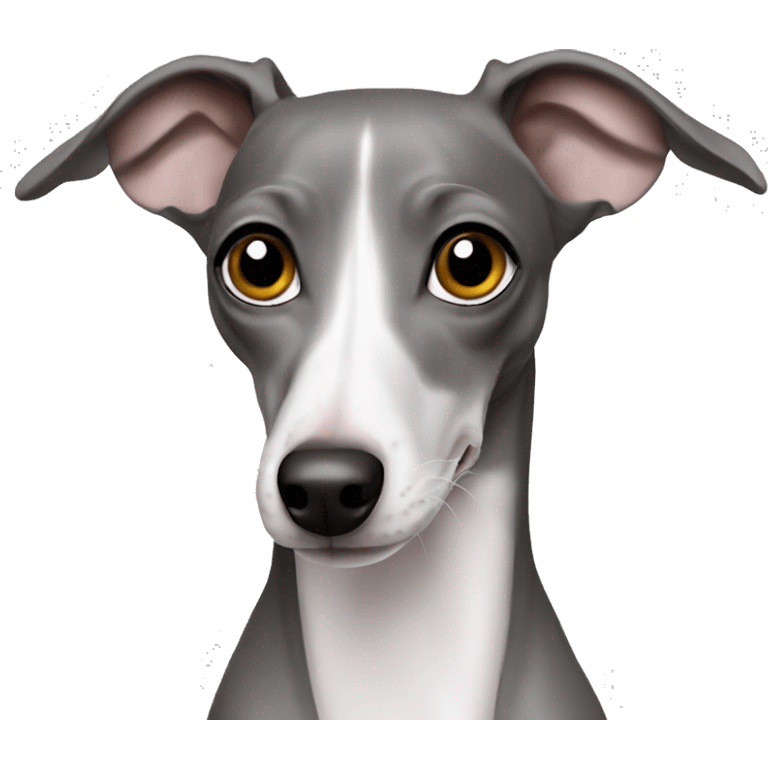 Italian greyhound grey emoji