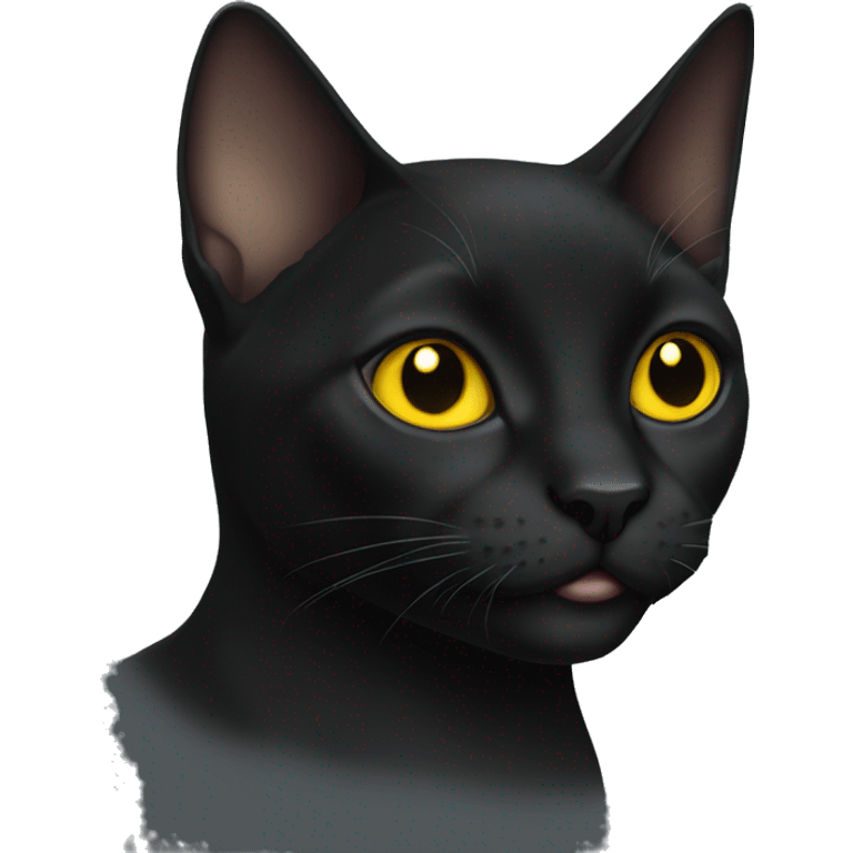 Black short Haie cat with yellow eyes emoji