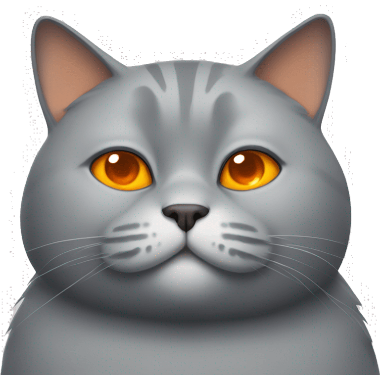 Grey fat cat with orange eyes emoji