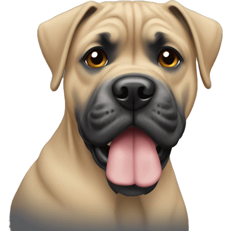 A cane corso mix with yorkie  emoji