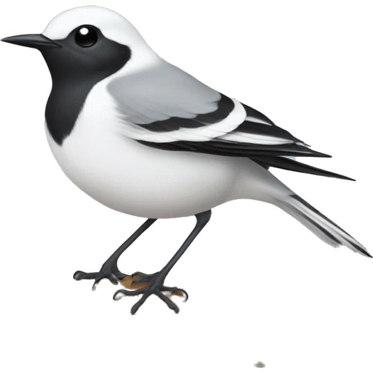 White wagtail emoji