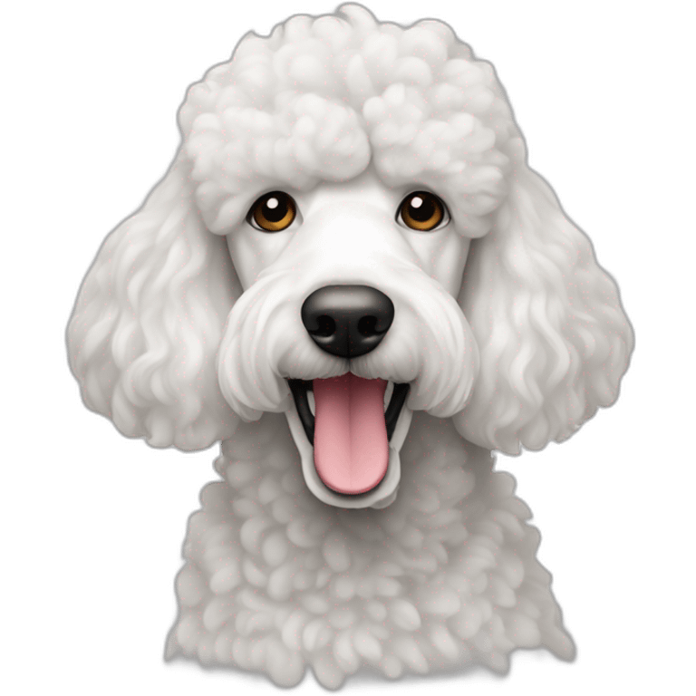 White standard poodle emoji