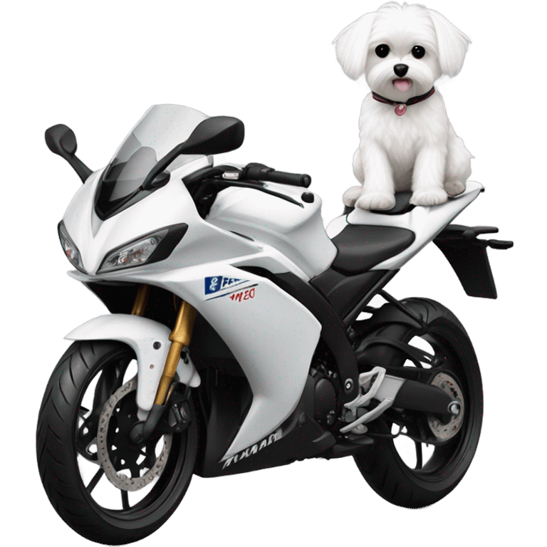 Maltese riding all white Yamaha-r3 emoji